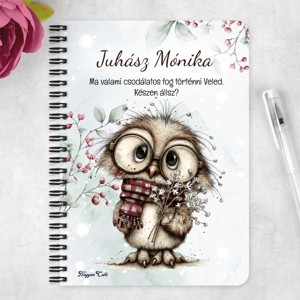 Személyre szabható - Cuki téli bagoly szemüvegben mintás A5-ös füzet - otthon & életmód - papír, írószer - jegyzetfüzet & napló - Meska.hu