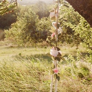 Vintage, cottagecore hinta - Meska.hu