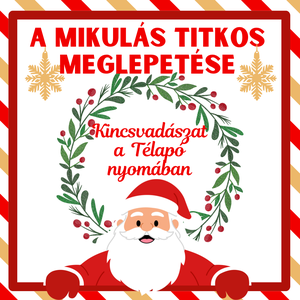 A Mikulás titkos meglepetése - kincsvadászat a Télapó nyomában, Játék & Sport, Készségfejlesztő és Logikai játék, Logikai játékok, Fotó, grafika, rajz, illusztráció, MESKA