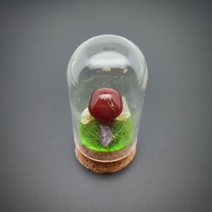 Gomba karneol üvegben 3x6,5cm, Kellékek & szerszámok, Ásvány alapanyag, Ásvány figura, , MESKA