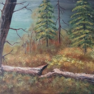 Erdőrészlet -  - Meska.hu