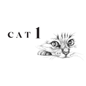 CAT 1 DIY rajzcsomag újrahasznosított borítékban, DIY (Csináld magad), Egységcsomag, Fotó, grafika, rajz, illusztráció, Meska