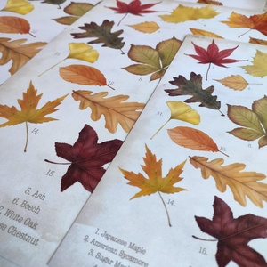 Őszi falevelek print - Vintage poszter - A5, A4, A3- Botanikai illusztráció - Autumn Leaves poszter - Őszi fali kép - otthon & lakás - dekoráció - kép & falikép - poszter - Meska.hu