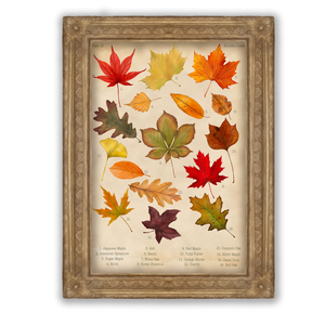 Őszi falevelek print - Vintage poszter - A5, A4, A3- Botanikai illusztráció - Autumn Leaves poszter - Őszi fali kép, Otthon & Lakás, Dekoráció, Kép & Falikép, Poszter, Fotó, grafika, rajz, illusztráció, Meska