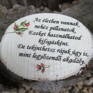 Erő-hűtőmágnes. :-) , Otthon & Életmód, Konyhafelszerelés, tálalás, Konyhai dekoráció, Hűtőmágnes, Decoupage, transzfer és szalvétatechnika, Festett tárgyak, MESKA