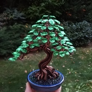 Zöld kisfa, Otthon & Életmód, Dekoráció, Asztal és polc dekoráció, Bonsai, , MESKA