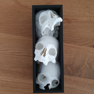 Több koponyás könyvtámasz dobozban � 3D nyomtatott gothic lakásdekoráció, Otthon & Életmód, Dekoráció, Asztal és polc dekoráció, Könyvtámasz, , MESKA