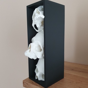 Több koponyás könyvtámasz dobozban � 3D nyomtatott gothic lakásdekoráció - otthon & életmód - dekoráció - asztal és polc dekoráció - könyvtámasz - Meska.hu