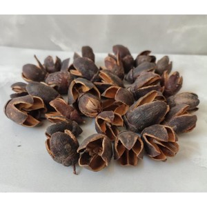Bakuli - natúr 5 dkg, Kellékek & szerszámok, Dekorációs kellékek, Termések, terméscsomagok, , MESKA