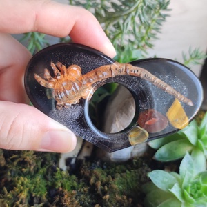 Alien, facehugger ujjtámasz, könyv gyűrű 1., Könyv & Zene, Könyvjelző, Mindenmás, MESKA