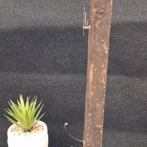 Rusztikus tölgy  Falióra , kis fogassal - otthon & életmód - dekoráció - fali és függő dekoráció - falióra & óra - Meska.hu Rusztikus tölgy  Falióra , kis fogassal - otthon & életmód - dekoráció - fali és függő dekoráció - falióra & óra - Meska.hu