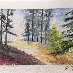 Erdei fény  - Meska.hu