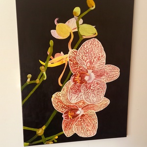 Orchidea - Meska.hu Orchidea - Meska.hu