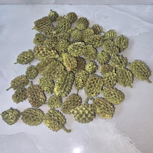 Casuarina - falfestékes olíva 5 dkg, Kellékek & szerszámok, Dekorációs kellékek, Termések, terméscsomagok, , MESKA