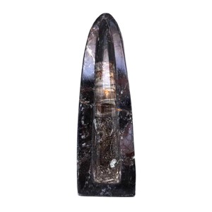 Ortocerász álló fekete polírozott 20cm, Kellékek & szerszámok, Ásvány alapanyag, , MESKA