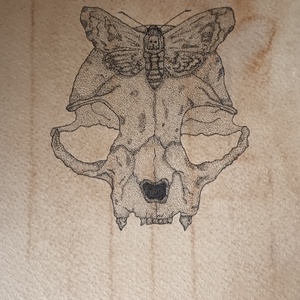 Dotwork koponya - művészet - grafika & illusztráció - egyéb rajzok - Meska.hu