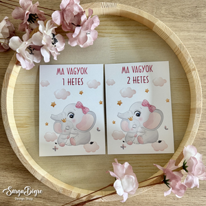 Rózsaszín elefántos hónapkártya és mérföldkő kártya 21db - baba - mama - babafotózás - baba mérföldkő kártyák - Meska.hu