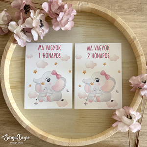 Rózsaszín elefántos hónapkártya és mérföldkő kártya 21db - baba - mama - babafotózás - baba mérföldkő kártyák - Meska.hu