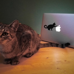 Macbook/laptop matricák többféle - Meska.hu