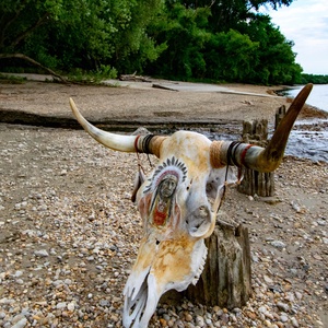 SavageSkullz Valódi tehén bika trófeára/koponyára dekorált indián arckép, kézzel festve és gravírozva - otthon & életmód - dekoráció - fali és függő dekoráció - falra akasztható dekor - Meska.hu