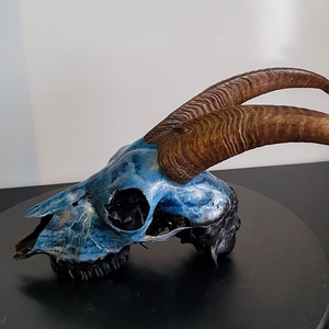 SavageSkullz kecske koponyára kézzel festett egyedi villmám és mennydörgés festménnyel - otthon & életmód - dekoráció - fali és függő dekoráció - falra akasztható dekor - Meska.hu