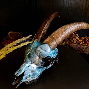 SavageSkullz kecske koponyára kézzel festett egyedi villmám és mennydörgés festménnyel - Meska.hu