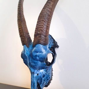 SavageSkullz kecske koponyára kézzel festett egyedi villmám és mennydörgés festménnyel - otthon & életmód - dekoráció - fali és függő dekoráció - falra akasztható dekor - Meska.hu