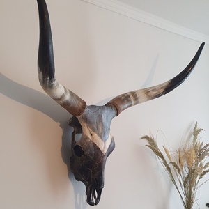 Szürkemarha koponya/trófea kézzel festett kő és márvány hatású festéssel arany repedéssel - művészet - más művészeti ág - Meska.hu