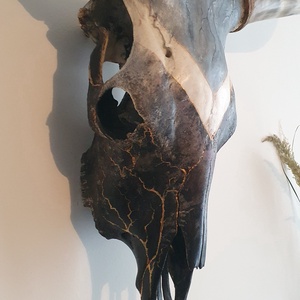 Szürkemarha koponya/trófea kézzel festett kő és márvány hatású festéssel arany repedéssel - művészet - más művészeti ág - Meska.hu