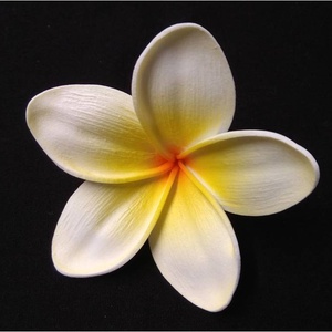 Fehér frangipáni hajdísz/Hawaii rózsája - Meska.hu