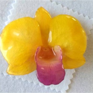 Orchidea kitűző és medál egyben - ékszer - kitűző és bross - kitűző - Meska.hu