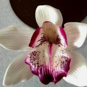Orchidea virág hajdísz - ruha & divat - hajdísz & hajcsat - hajdísz - Meska.hu
