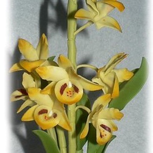 Agyag orchidea - kellékek & szerszámok - dekorációs kellékek - egyéb kellékek - Meska.hu