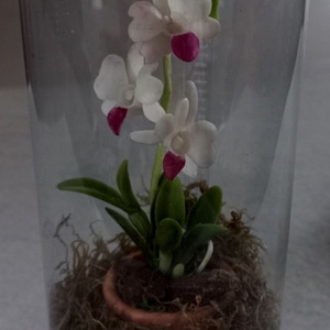 Orchidea virágos ajándékdoboz, Otthon & Lakás, Dekoráció, Dísztárgy, Mindenmás, MESKA