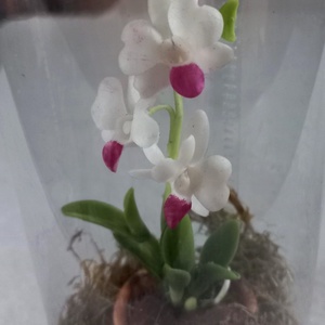 Orchidea virágos ajándékdoboz - otthon & lakás - dekoráció - dísztárgy - Meska.hu