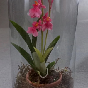 Orchidea virágos ajándékdoboz - Meska.hu