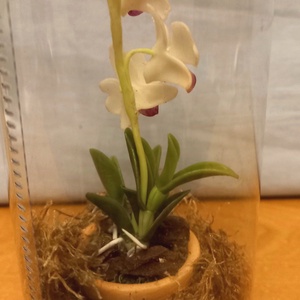 Orchidea dobozban - otthon & életmód - dekoráció - dísztárgy - Meska.hu