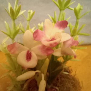 Orchidea dobozban - otthon & életmód - dekoráció - dísztárgy - Meska.hu