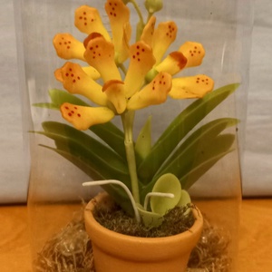 Orchidea dobozban, Otthon & Életmód, Dekoráció, Dísztárgy, Mindenmás, MESKA