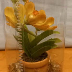 Orchidea dobozban - otthon & életmód - dekoráció - dísztárgy - Meska.hu