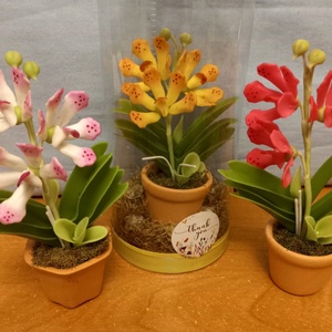 Orchidea dobozban - otthon & életmód - dekoráció - dísztárgy - Meska.hu