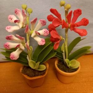Orchidea dobozban - otthon & életmód - dekoráció - dísztárgy - Meska.hu