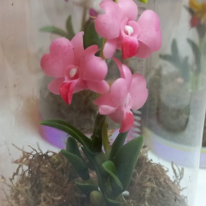 Dobozos Dendrobium orchidea - otthon & életmód - dekoráció - dísztárgy - Meska.hu