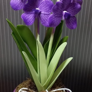 Agyag orchidea - Meska.hu