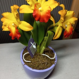 Agyag orchidea - Meska.hu