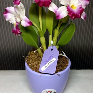 Agyag orchidea - otthon & életmód - virágdekoráció - virágdíszek - asztali virágdísz - Meska.hu