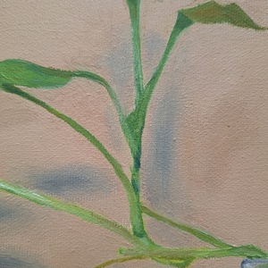 Csendélet (40x50 cm) - művészet - festmény - olajfestmény - Meska.hu