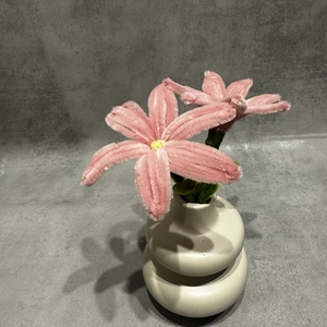 Zsenília virág  , Otthon & Életmód, Virágdekoráció, Virágok, Szálas virág, Kötés, MESKA