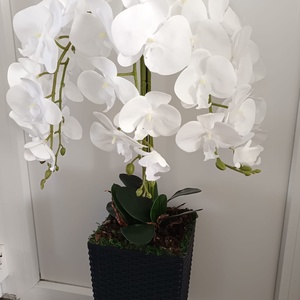 Orchidea műanyag padlóvázában, Otthon & Életmód, Dekoráció, Virágdísz és tartó, Csokor & Virágdísz, Virágkötés, MESKA