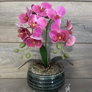 Orchidea, Otthon & Életmód, Dekoráció, Asztal és polc dekoráció, Asztaldísz, Virágkötés, MESKA